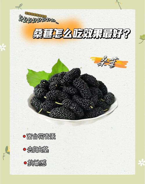 桑葚能治成什么保健品能减肥