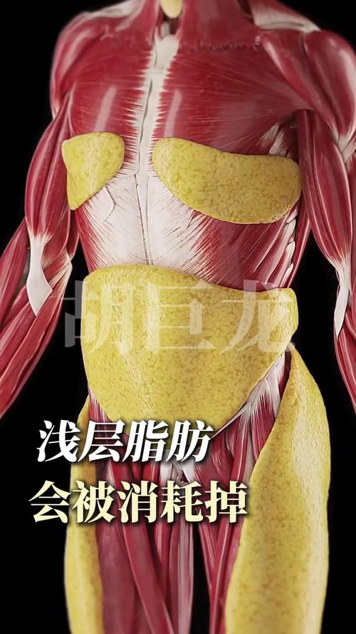 什么吸脂减肥最好