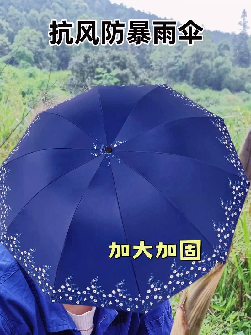 雨伞买什么颜色好