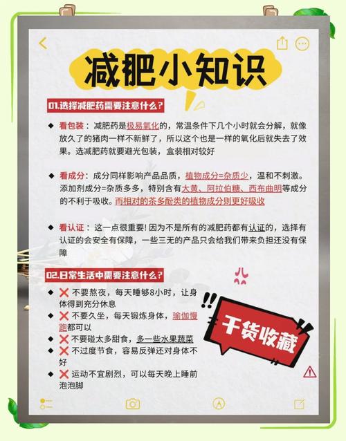 减肥药会影响什么功能