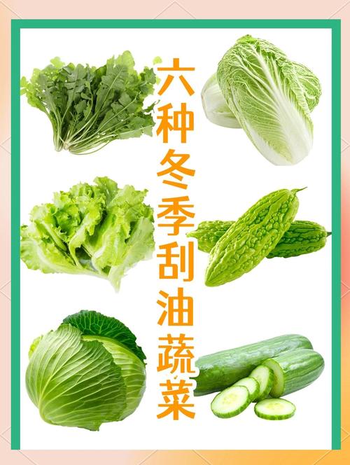 冬季吃什么蔬菜减肥快