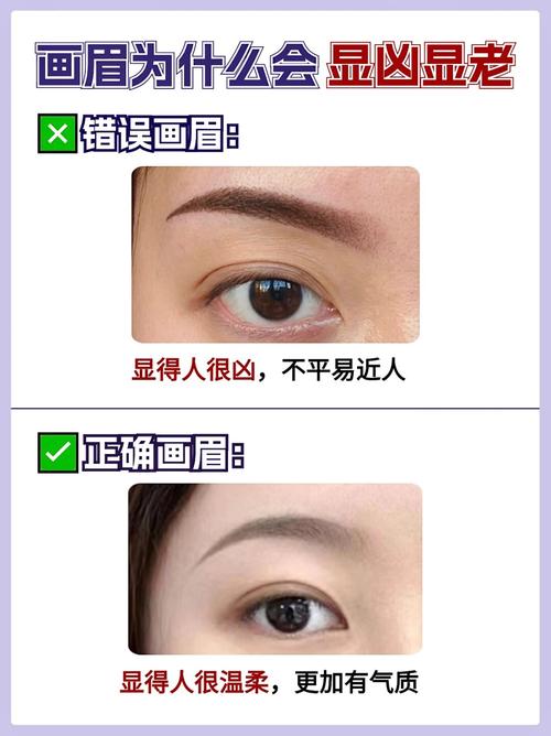 眉尾是什么