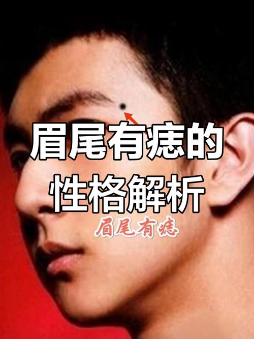 眉尾是什么