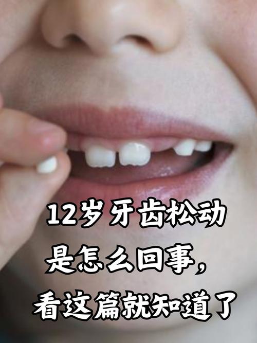 牙齿为什么松