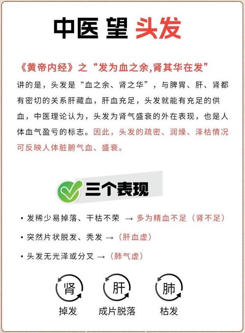 脱发是什么科