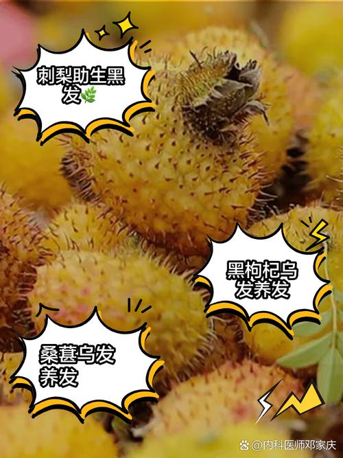 吃什么长黑
