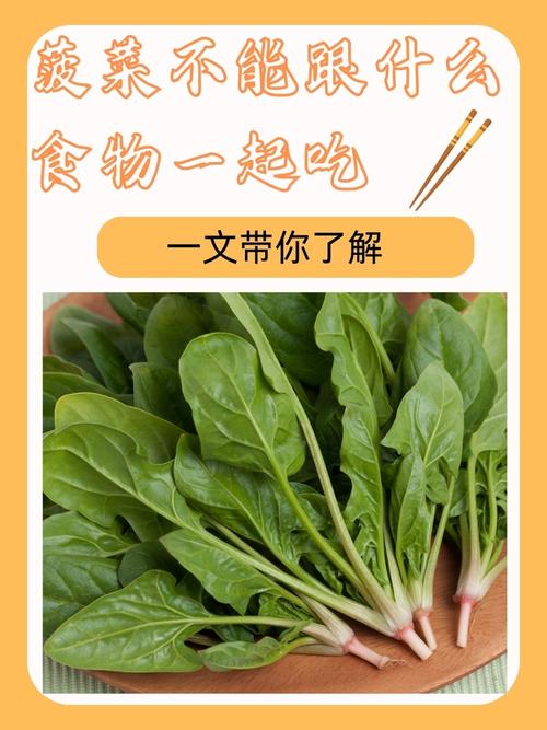 菠菜和什么一起吃减肥