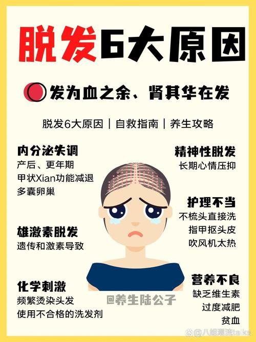 头发断发是什么原因