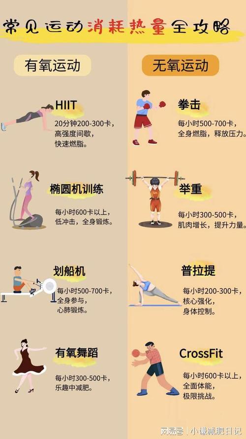 什么运动减肥不长肌肉