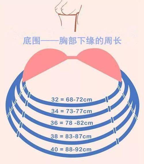 34b是什么意思