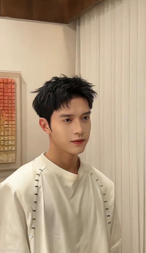 男的脸大适合什么发型
