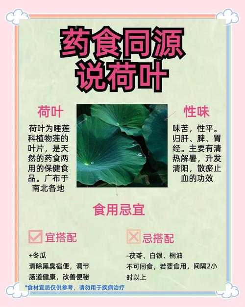 荷叶配什么减肥