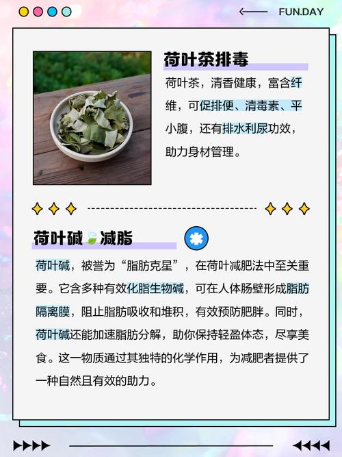 荷叶配什么减肥