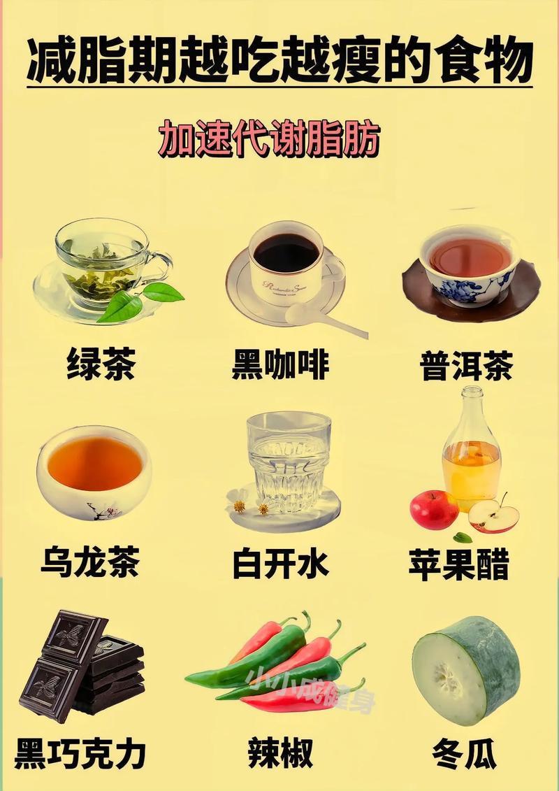 什么东西最能减肥