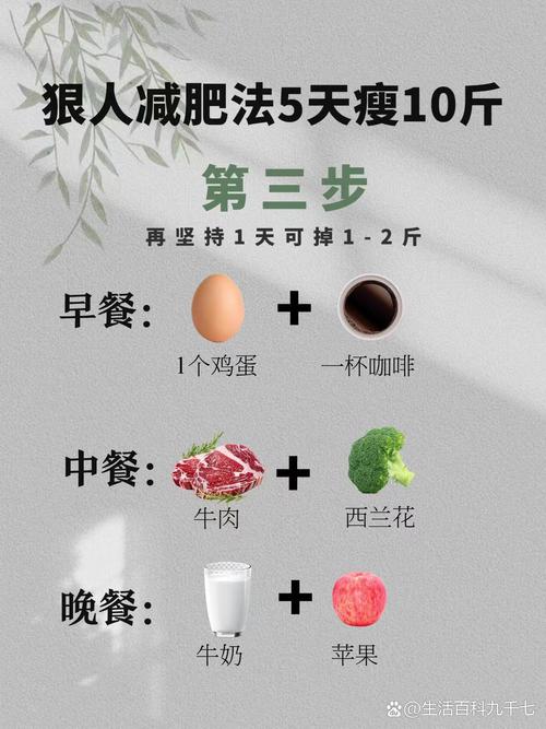 绿瘦的减肥原理是什么啊