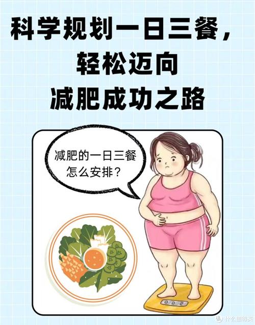 绿瘦的减肥原理是什么啊
