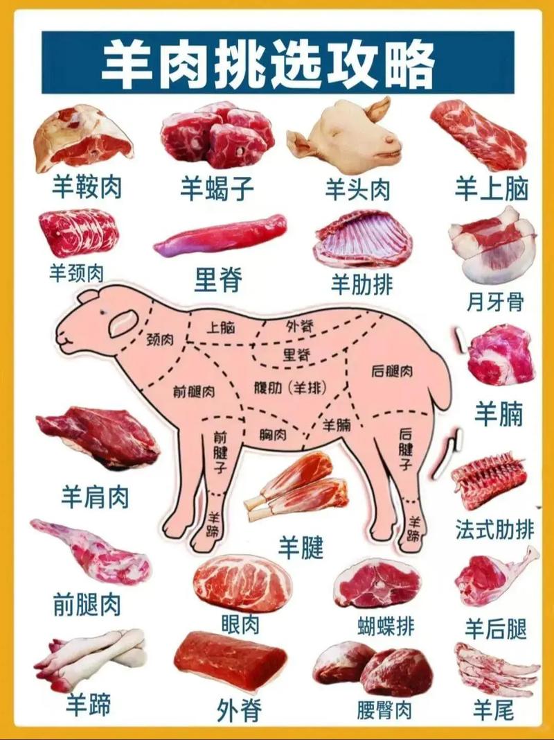 为什么羊肉减肥