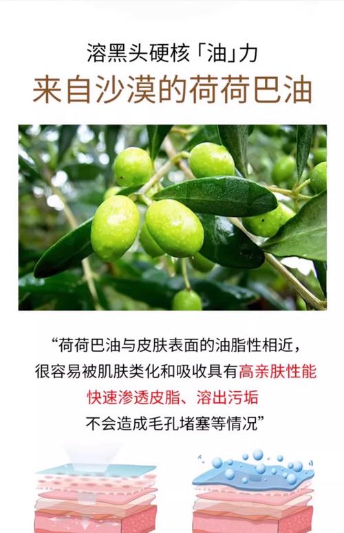 荷荷巴油是什么