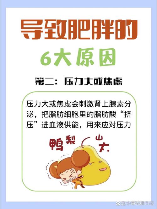 人到中年为什么会发胖怎么减肥