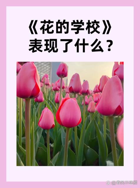 娇嫩什么