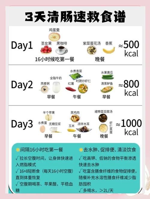 一天清肠减肥吃什么最好