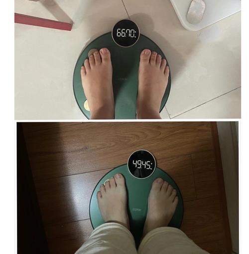 减肥什么家效果好