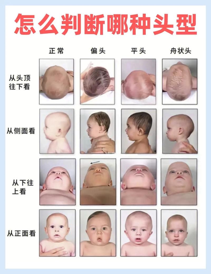 什么样的头型聪明