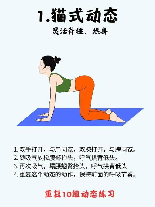 瑜伽什么体式最减肥