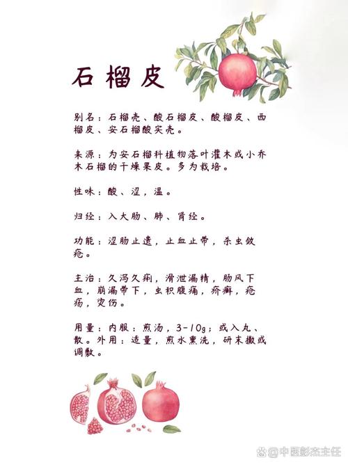 石榴有什么药用价值