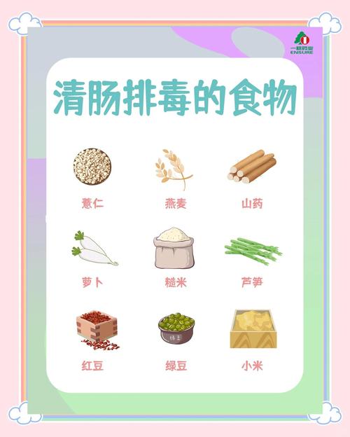 减肥前排毒吃什么