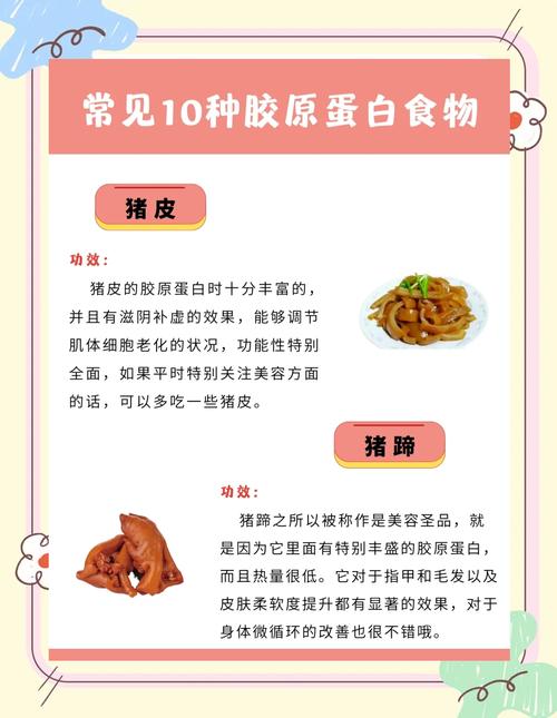 吃什么能补胶原蛋白