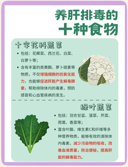 给肝脏排毒吃什么