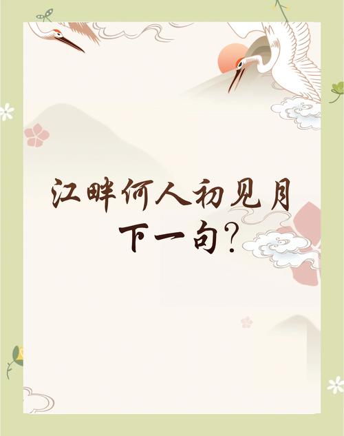 奇丽是什么意思