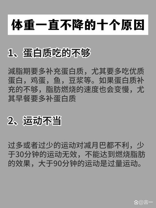 什么是蛋白质减肥方法有哪些方法有哪些方法
