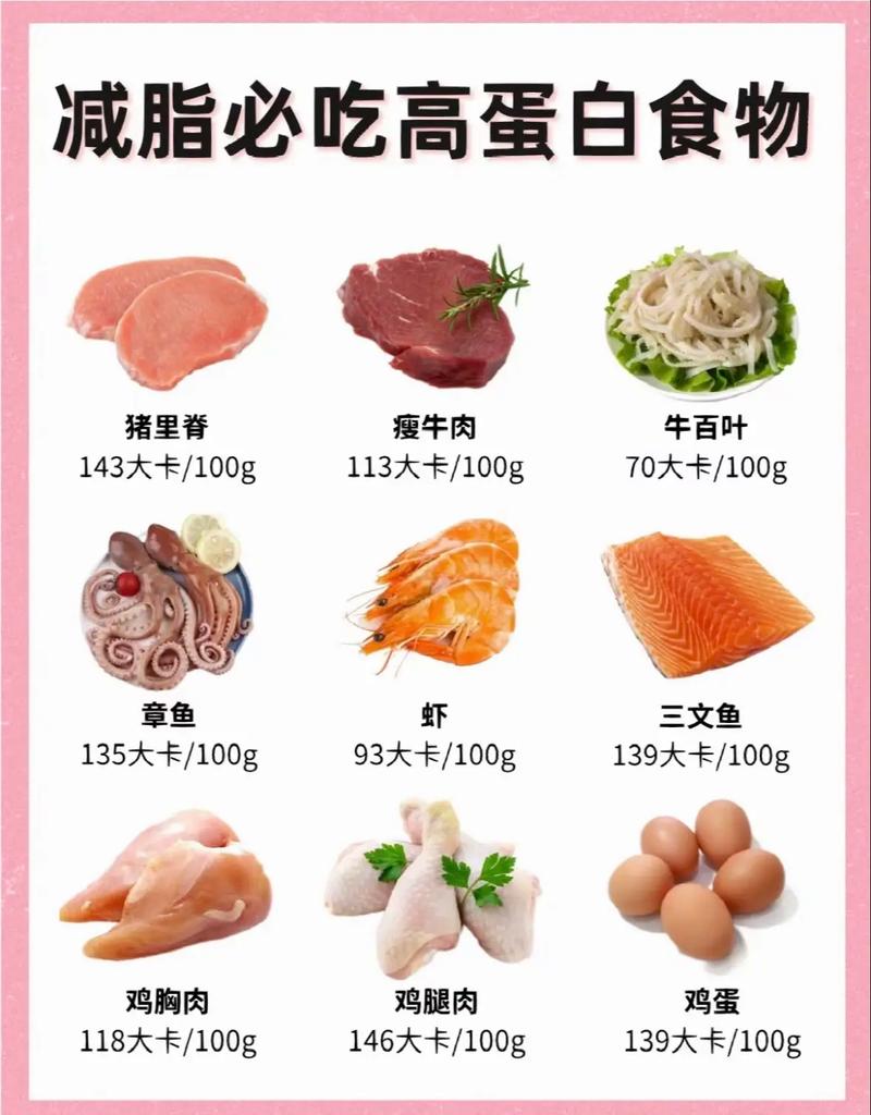 什么是蛋白质减肥方法有哪些方法是什么意思
