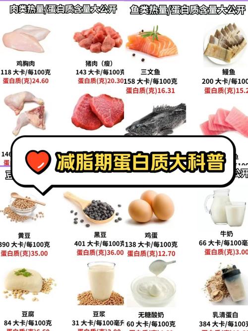 什么是蛋白质减肥方法有哪些方法是什么