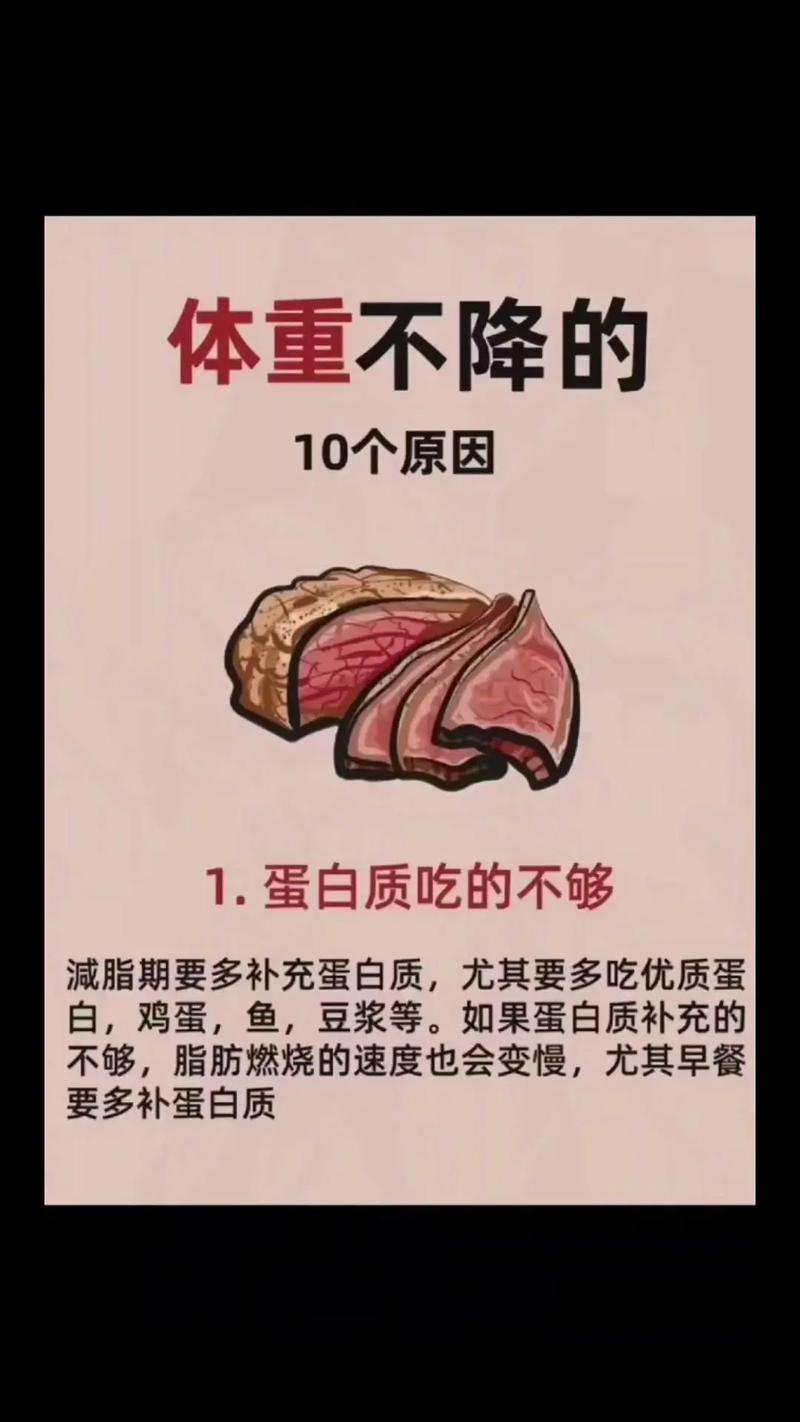 什么是蛋白质减肥方法有哪些方法