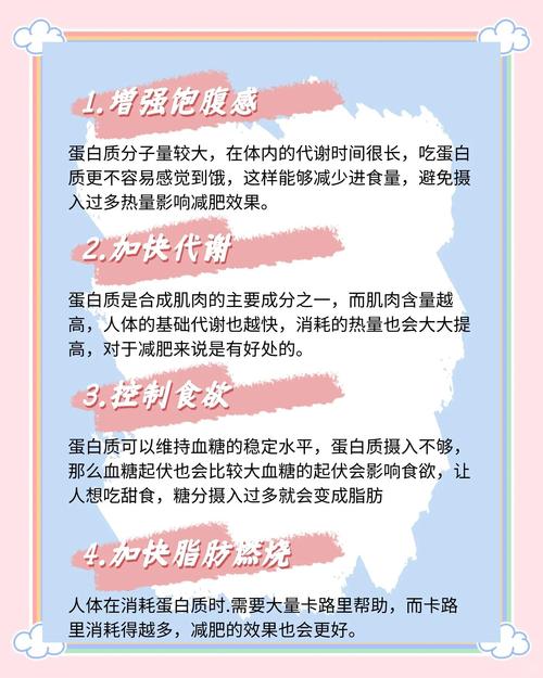 什么是蛋白质减肥方法有哪些方法