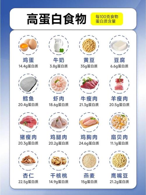 什么是蛋白质减肥方法有哪些