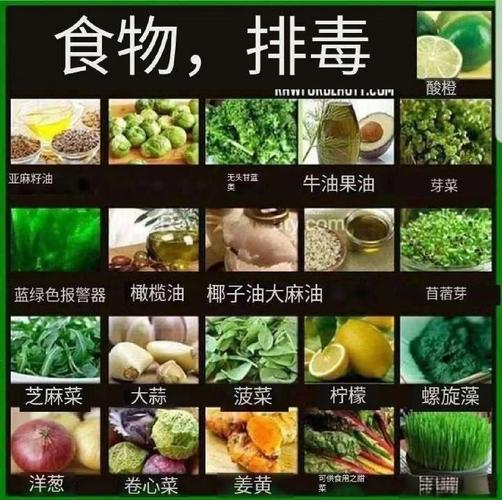 什么食物能减肥又排毒养颜