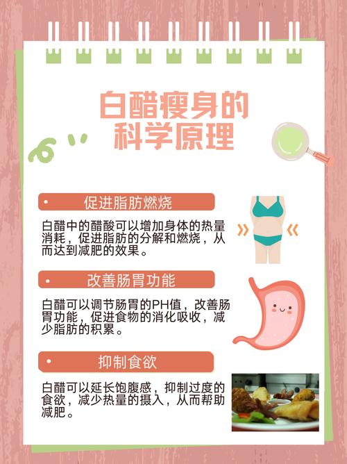 减肥喝什么醋
