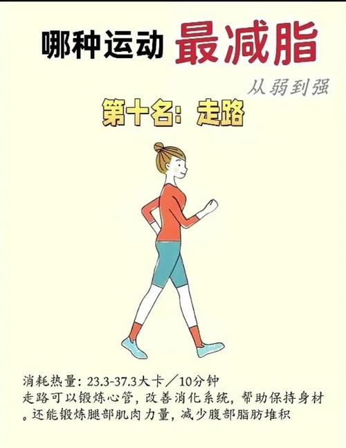 什么运动又能减肥又能塑形