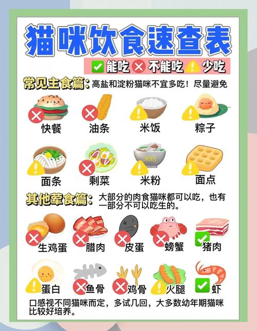 猫主要吃什么食物