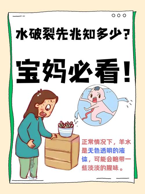 羊水什么时候会破