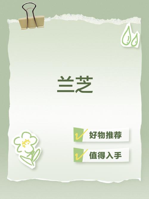 兰芝什么意思