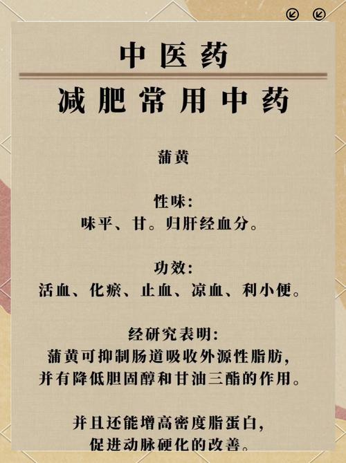 什么中药能减肥去脂肪