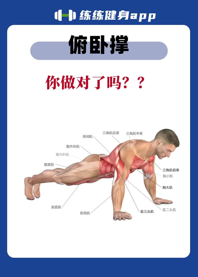 什么运动可以减肥增肌