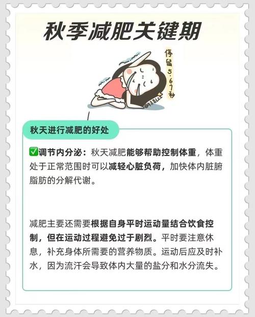 秋季减肥注意什么