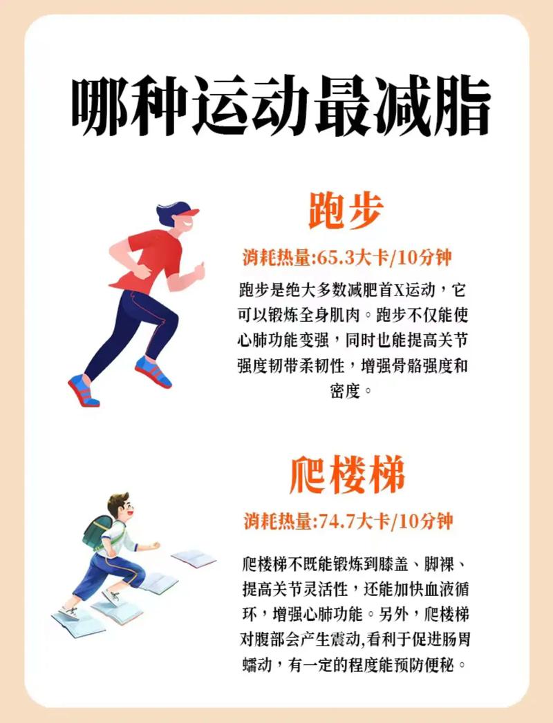 减肥最运动是什么