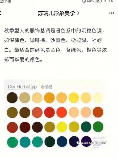 秋季型肤色怎么搭配